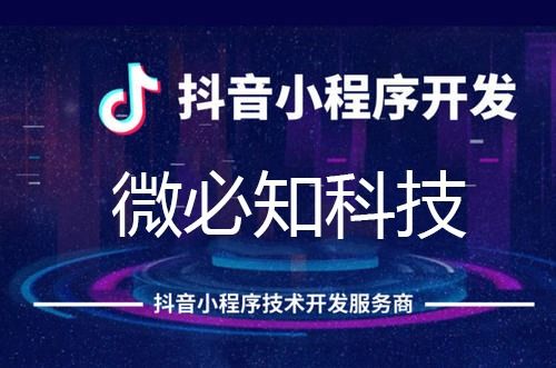 企業(yè)和商家該如何選擇小程序平臺(tái)